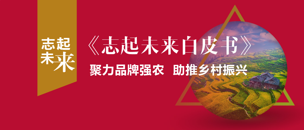 志起未來客戶:為何同福集團(tuán)能成為鄉(xiāng)村振興的典范？